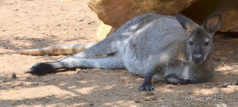 о.Менорка Балеарские острова
