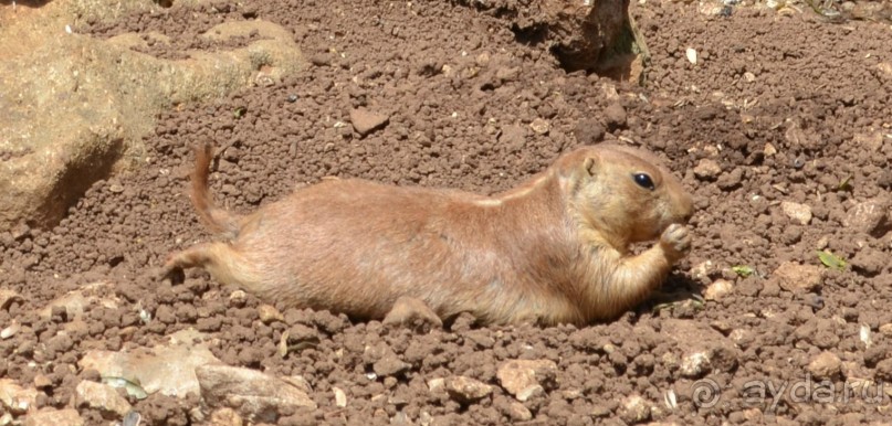 о.Менорка Балеарские острова