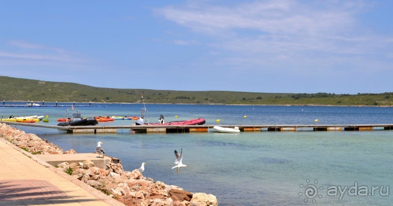 фото Менорки