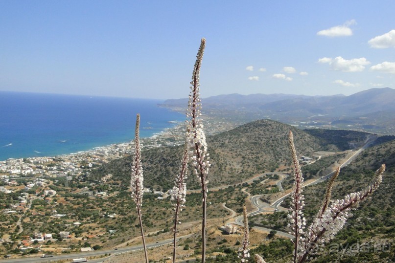 Домашний,уютный !