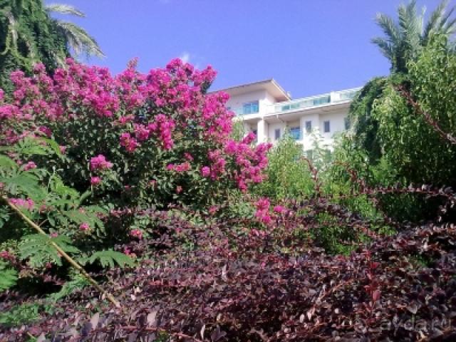 фото Baita dei Pini