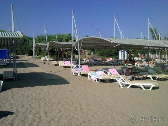 Хороший отзыв за рузумные деньги