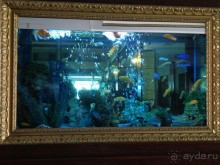 фото Utopia World Hotel