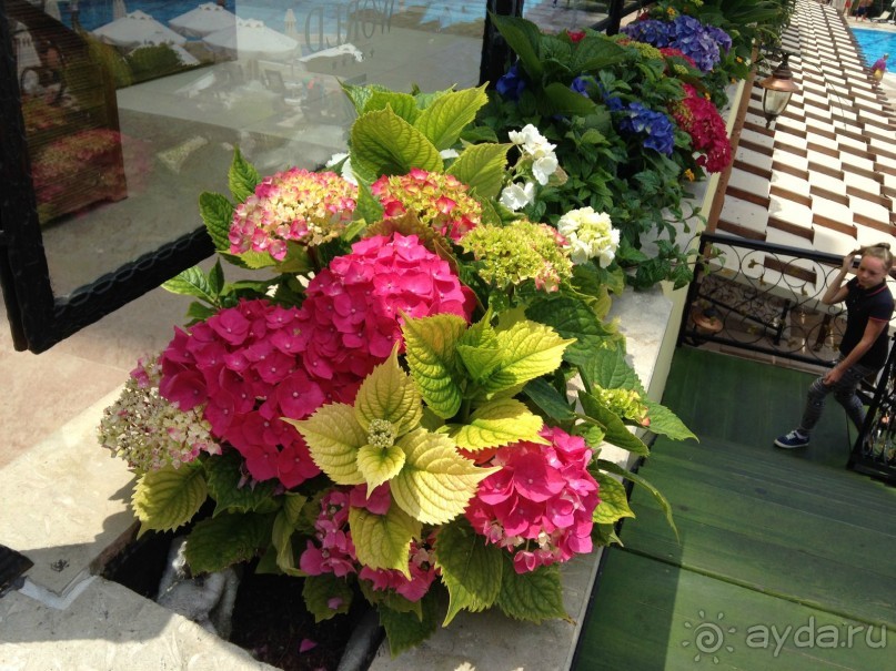 УТОПИЯ - ЭТО РАЙ!!!