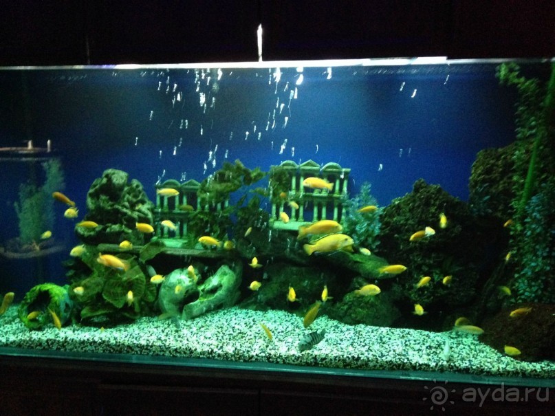 УТОПИЯ - ЭТО РАЙ!!!