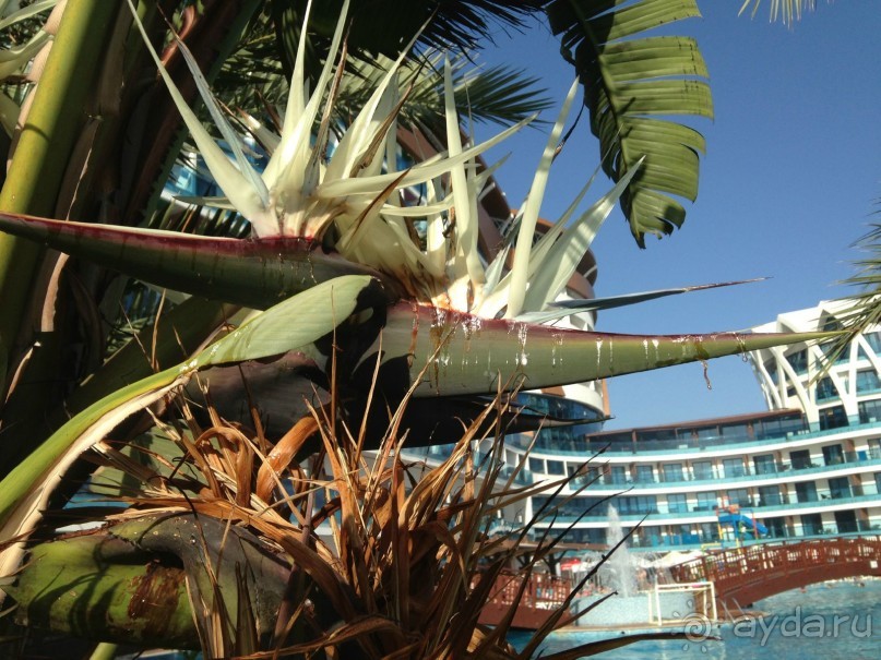 Granada - жемчужина Аланьи !!!