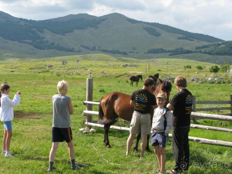 МДОЦ «Жемчужный берег/Biserna obala». Черногория