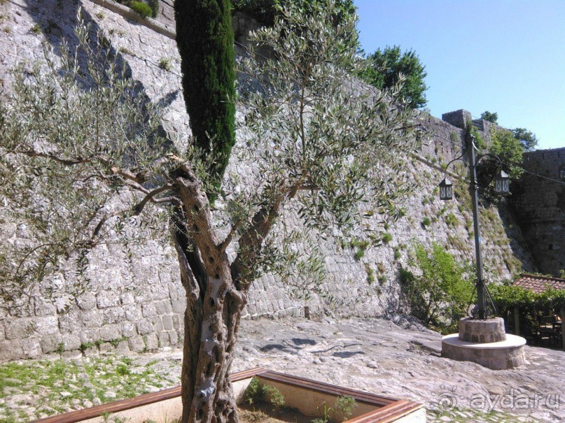  «Жемчужный берег/Biserna obala» - Черногория