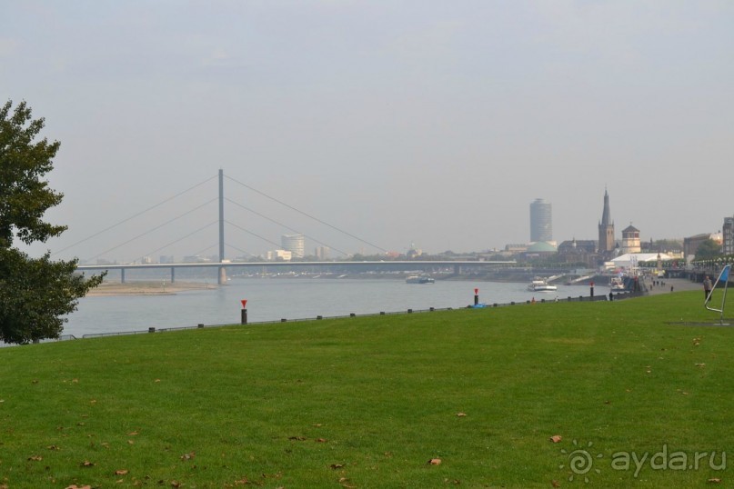 Чем кормят в Европе