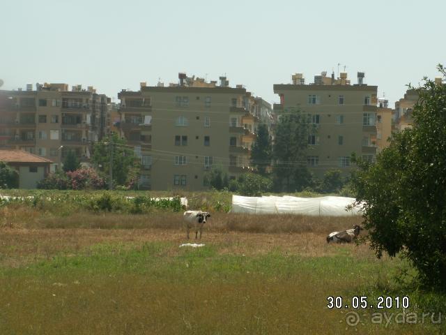 Окрестности-2