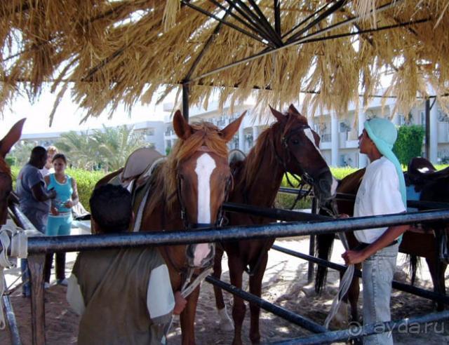 фото Labranda Club Makadi