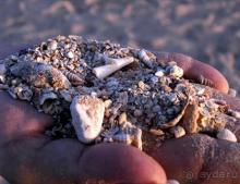 фото Labranda Club Makadi