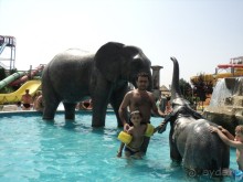 На машине в Болгарию.