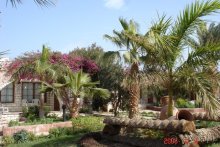 Aladdin Beach Resort
