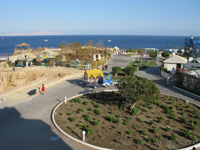 фото Dreams Beach Resort