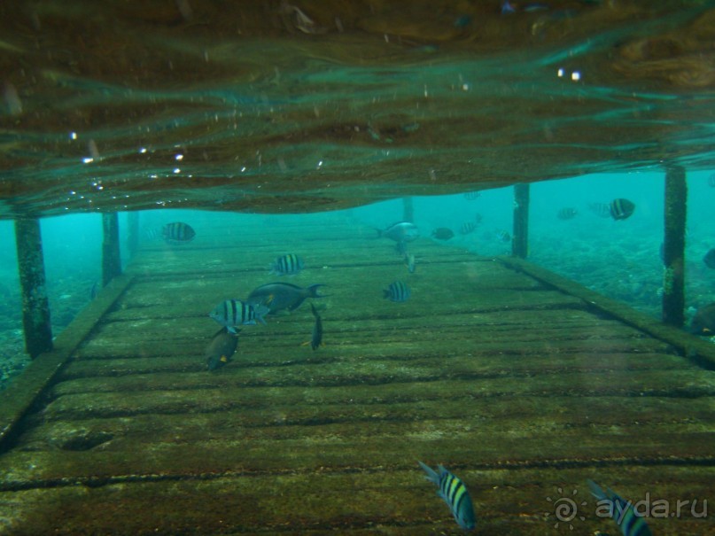 фото Dreams Beach Resort