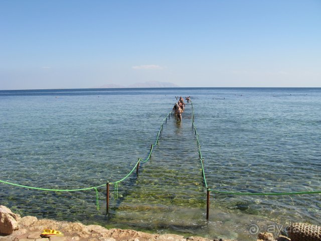 фото Dreams Beach Resort