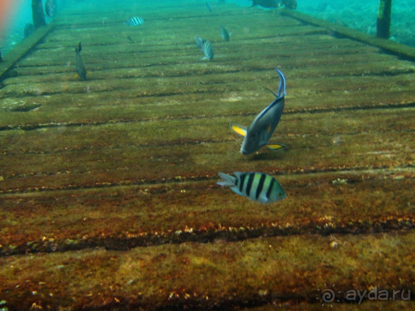 фото Dreams Beach Resort