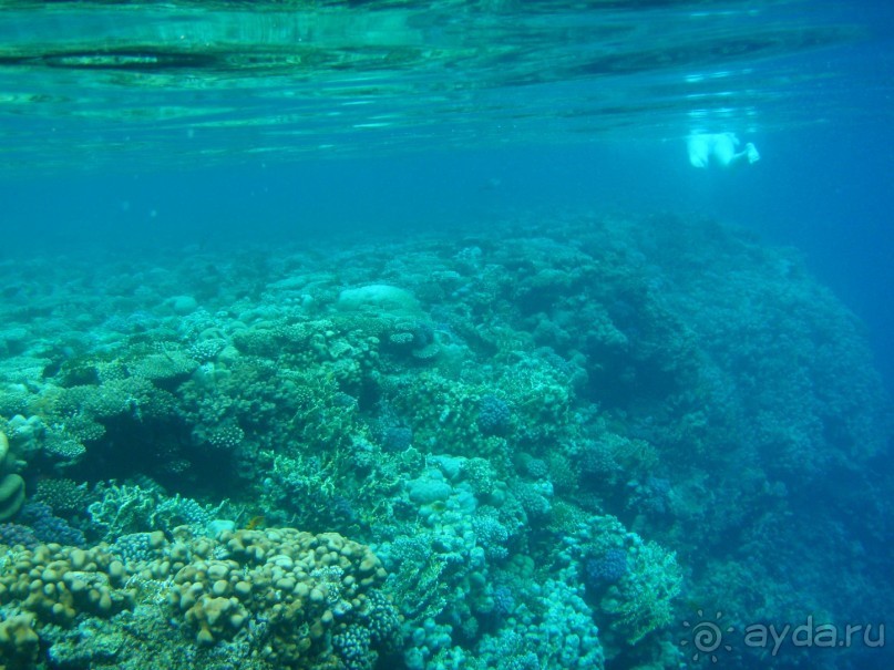 фото Dreams Beach Resort