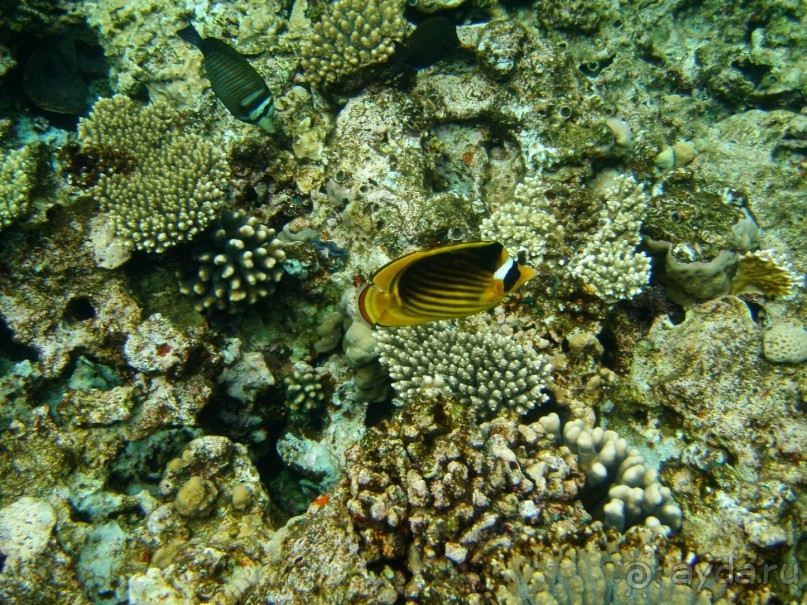 фото Dreams Beach Resort