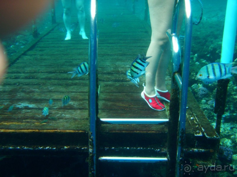 фото Dreams Beach Resort