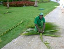 Гаити_Доминикана