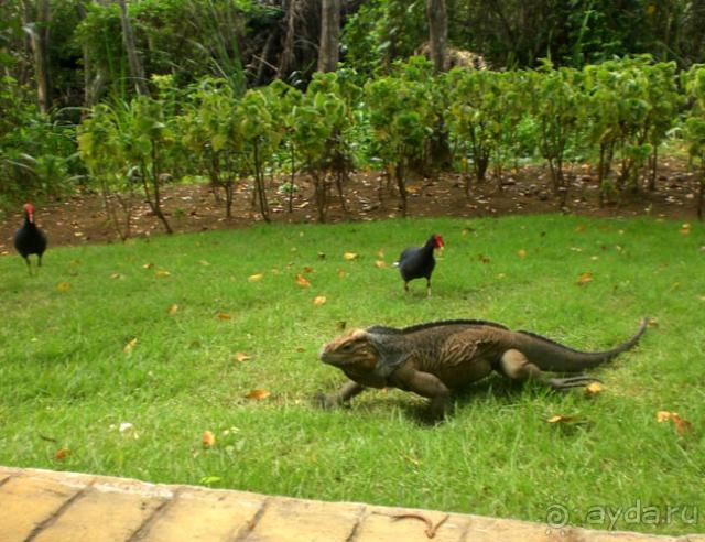 Гаити_Доминикана