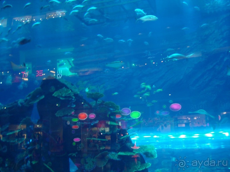 Dubai Mall - шопинг и не только