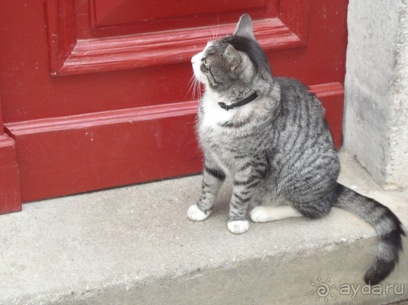 МАЙСЕН. Майские праздники в Германии: «по следам» профессора Плейшнера или нереальная реальность.ч.4