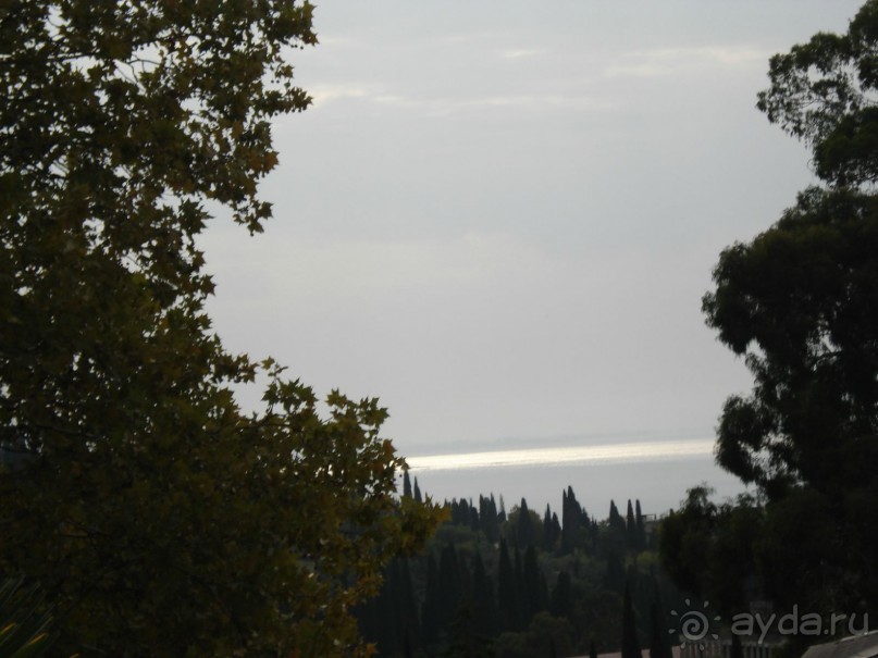 Альбом отзыва "Абхазия: Гагры, Новоафонская пещера, Рица, Пицунда (самостоятельно)"