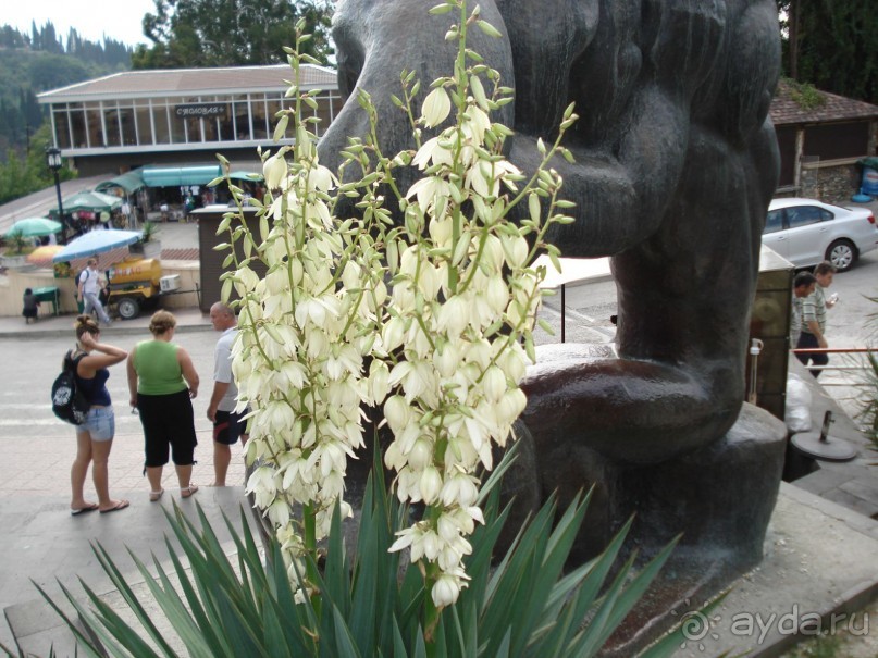 Абхазия: Гагры, Новоафонская пещера, Рица, Пицунда (самостоятельно)