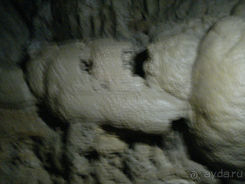 Абхазия: Гагры, Новоафонская пещера, Рица, Пицунда (самостоятельно)