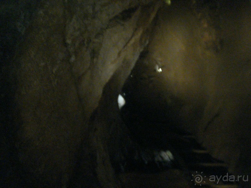 Абхазия: Гагры, Новоафонская пещера, Рица, Пицунда (самостоятельно)