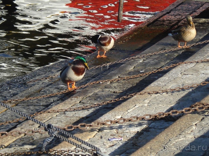 Итальянские каникулы. Милан. Шоппинг. Комо. Продолжение