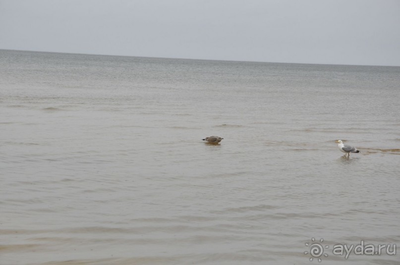 Старая Рига (VecRiga)  самостоятельно: Три дня июля