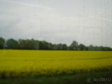 Дрезден: Майские праздники в Германии,  часть 3