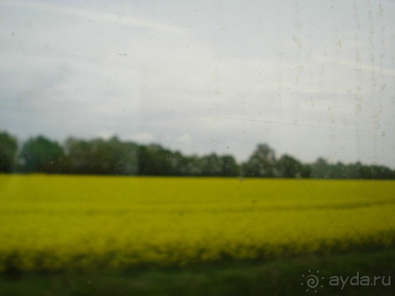 Дрезден: Майские праздники в Германии,  часть 3