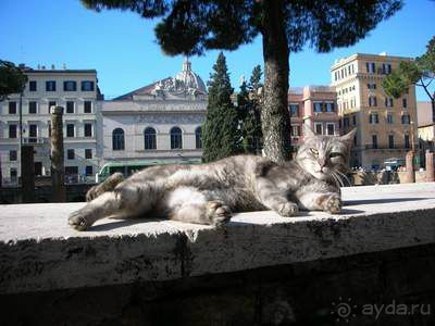 Мечты сбываются Зимой! Или все дороги ведут в Рим