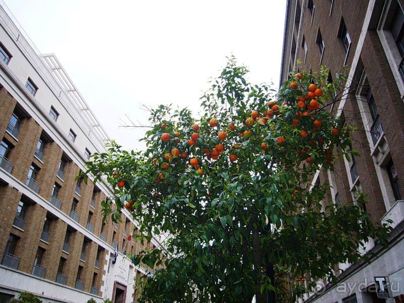 Мечты сбываются Зимой! Или все дороги ведут в Рим