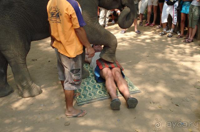 Ну очень правильный отельчик