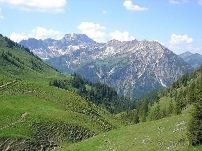 фото Coral Beach Resort