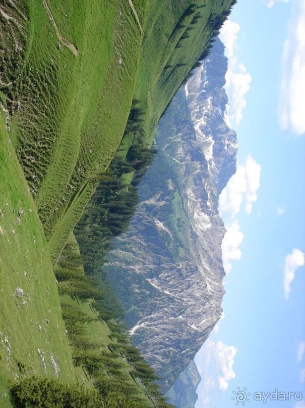 фото Gypsophila Club Marine