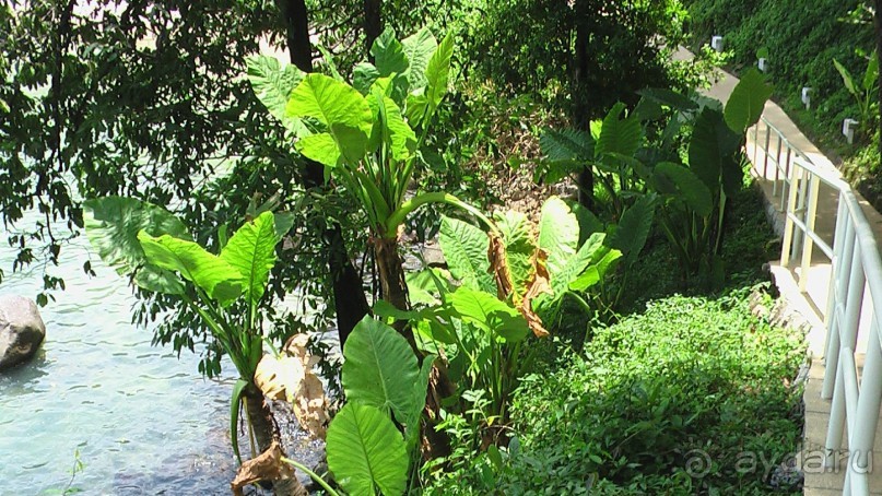 Тайские радости и 'печали'(печаль только по поводу отъезда).