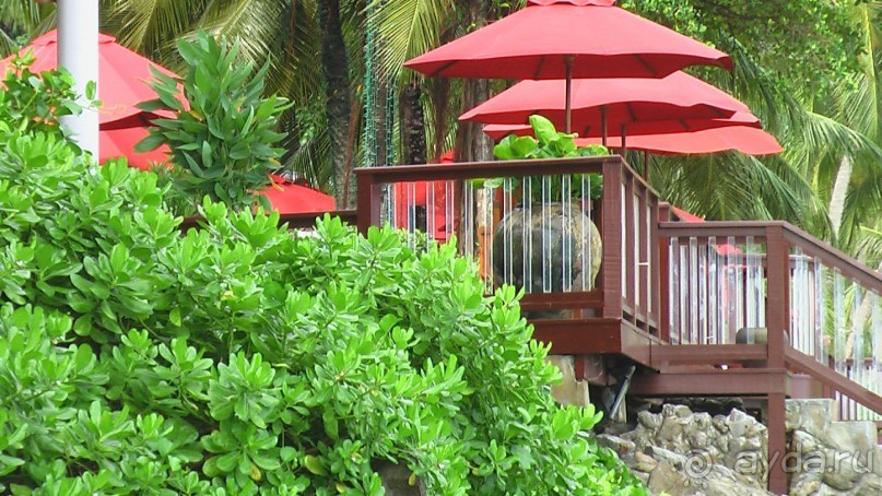 Тайские радости и 'печали'(печаль только по поводу отъезда).