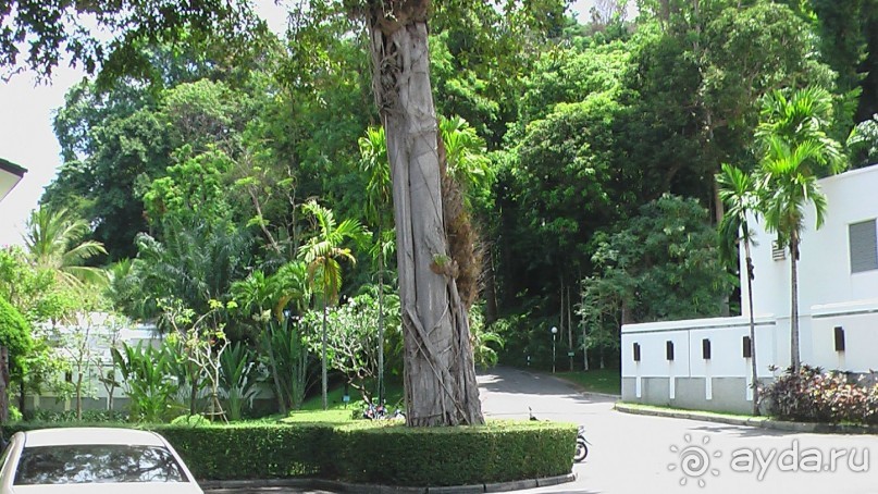 Тайские радости и 'печали'(печаль только по поводу отъезда).