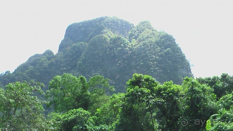 Тайские радости и 'печали'(печаль только по поводу отъезда).