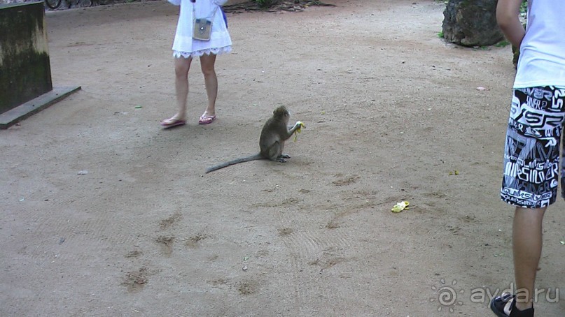 Тайские радости и 'печали'(печаль только по поводу отъезда).