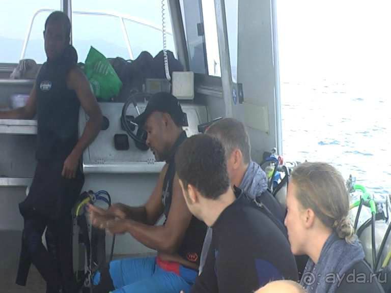 ФИДЖИ РАЙ ДЛЯ ЛЮДЕЙ И АКУЛ.