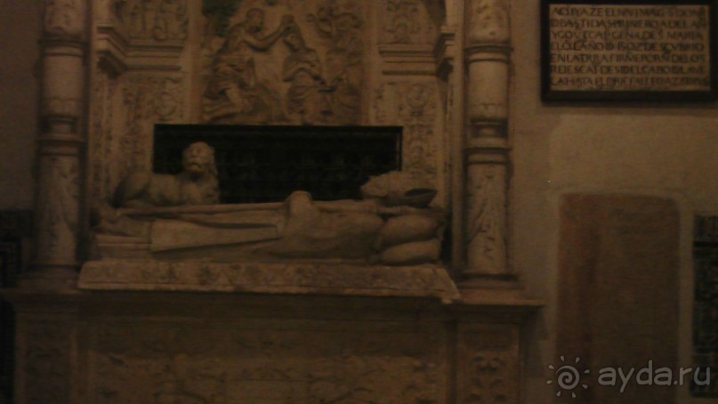 фото Gran Bahia Principe Ambar