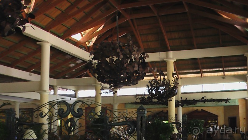 фото Gran Bahia Principe Ambar